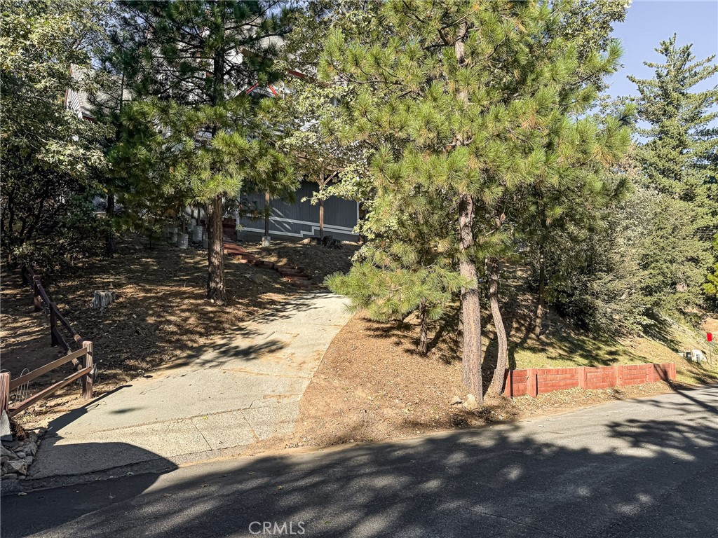 1284 Cortina Property Photo 23