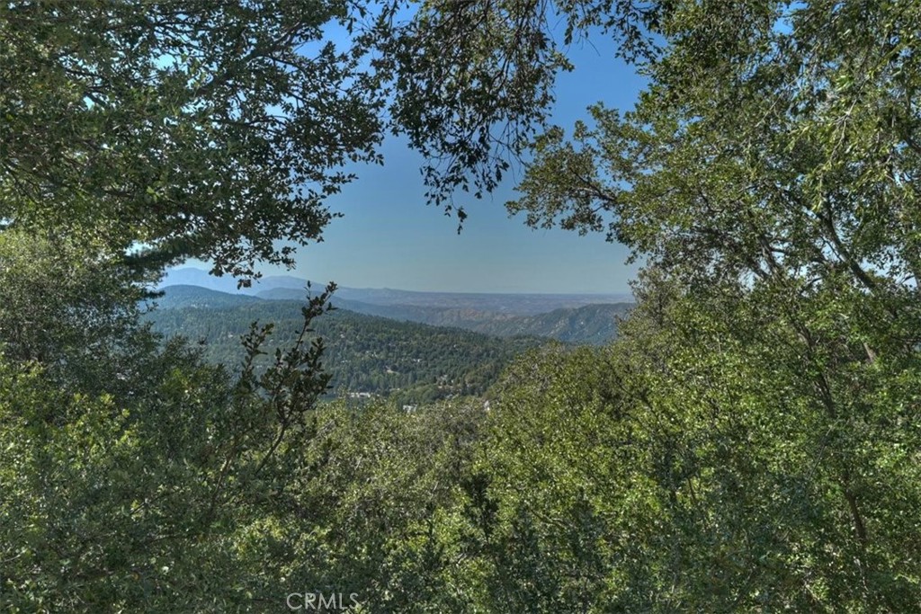 815 Chamois Property Photo 35