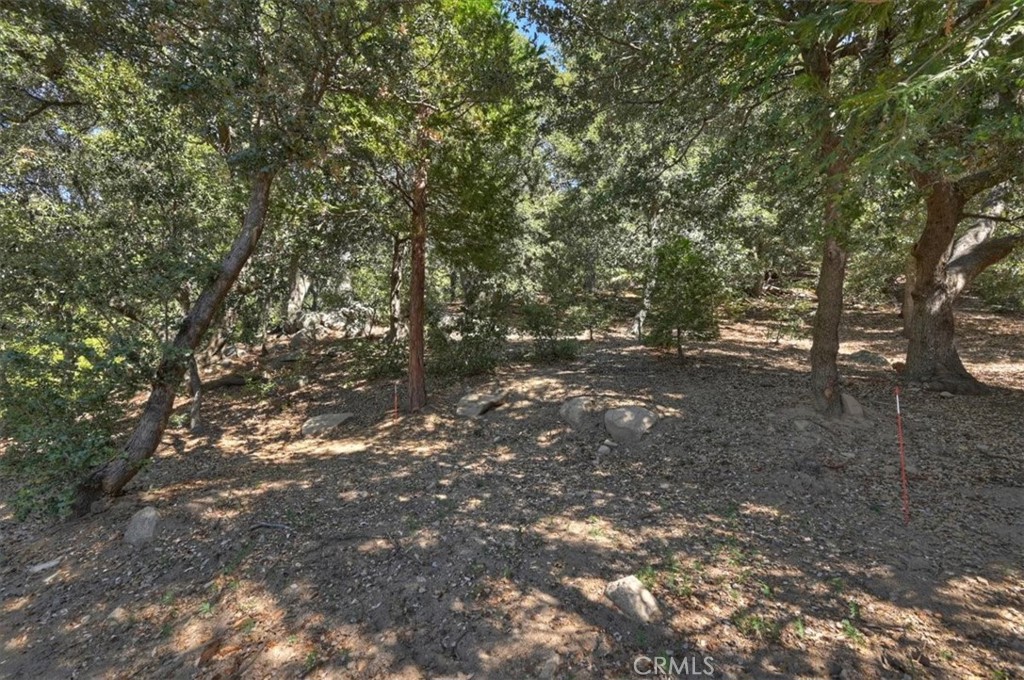 815 Chamois Property Photo 49