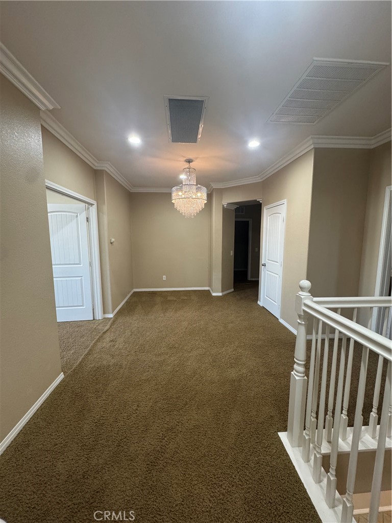 13203 Quarter Horse Property Photo 16