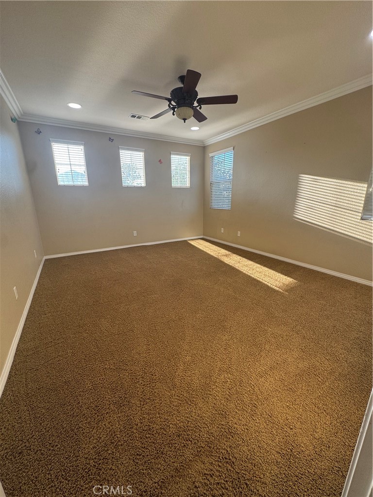 13203 Quarter Horse Property Photo 22