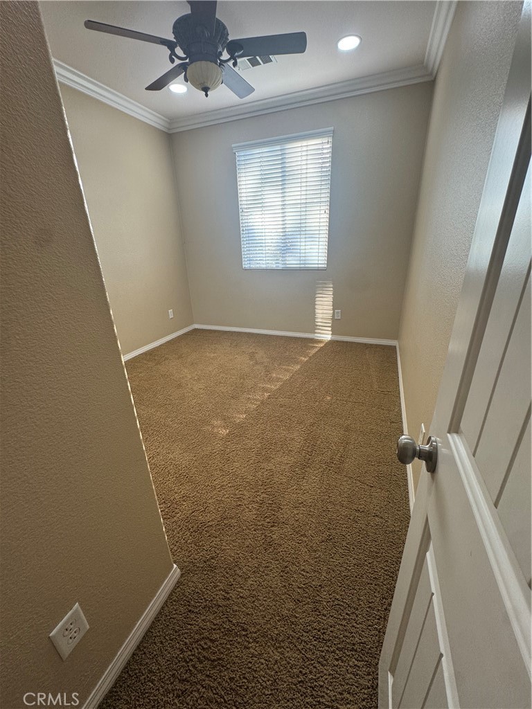 13203 Quarter Horse Property Photo 26