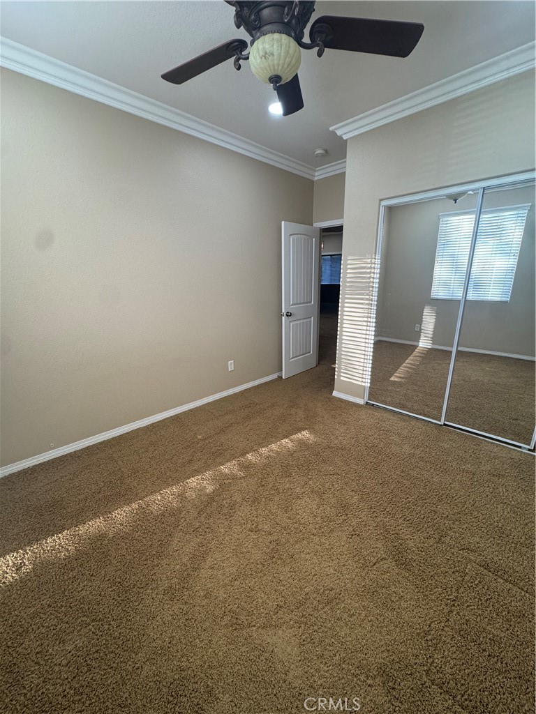 13203 Quarter Horse Property Photo 27