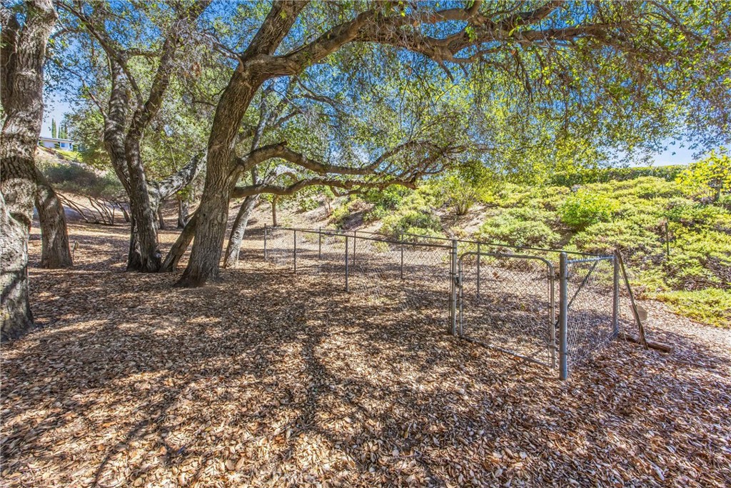 37242 Oak Grove Property Photo 39
