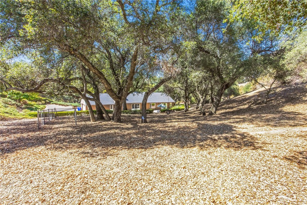 37242 Oak Grove Property Photo 40