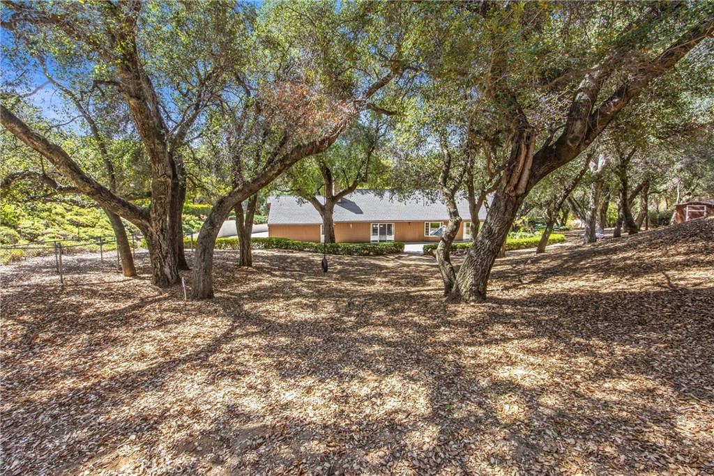 37242 Oak Grove Property Photo 41