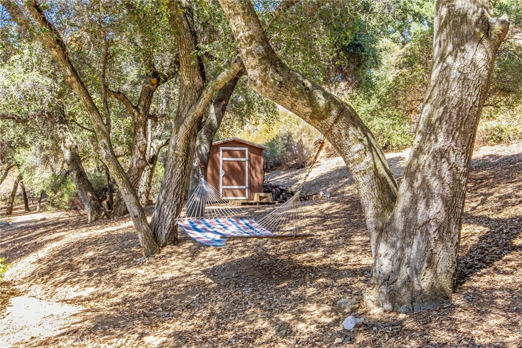 37242 Oak Grove Property Photo 42
