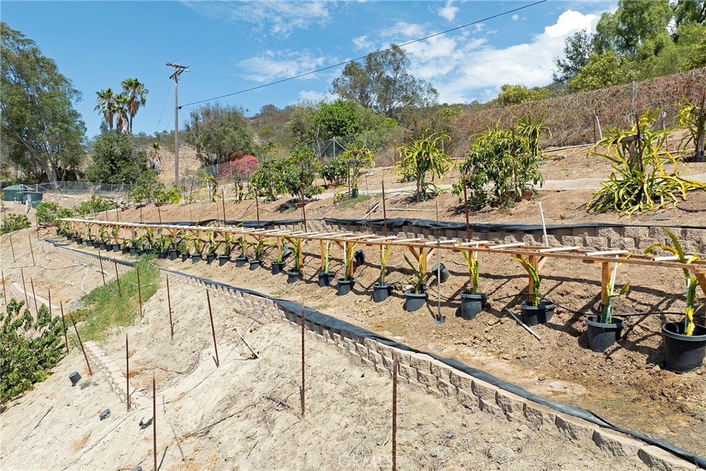 525 Stewart Canyon Road Property Photo 12