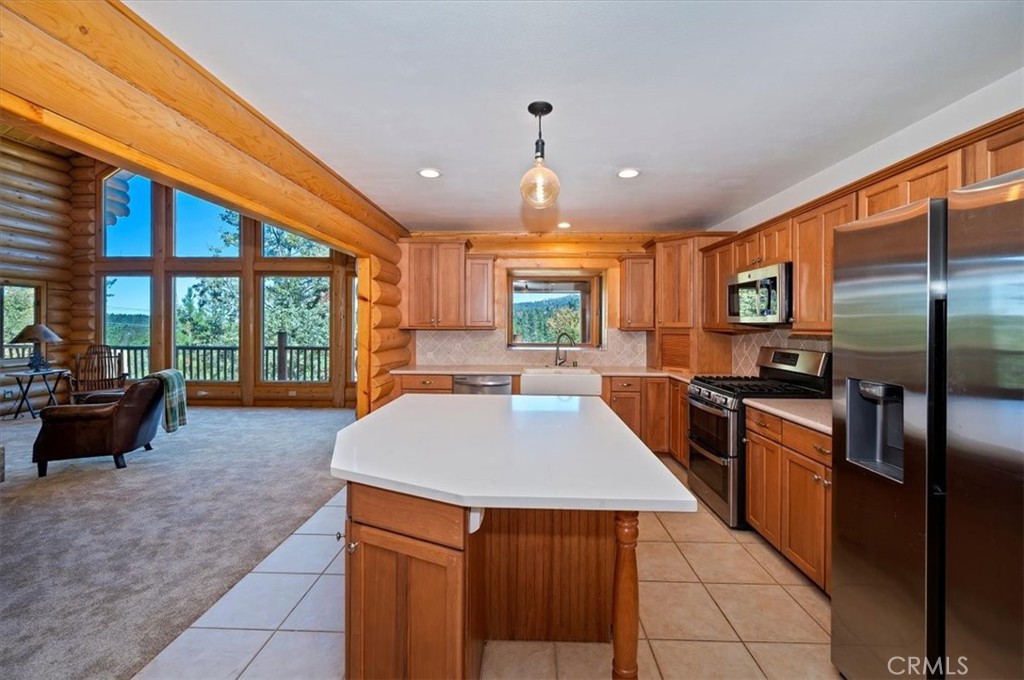32412 Snow Cactus Court Property Photo 18