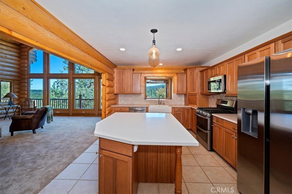 32412 Snow Cactus Court Property Photo 18