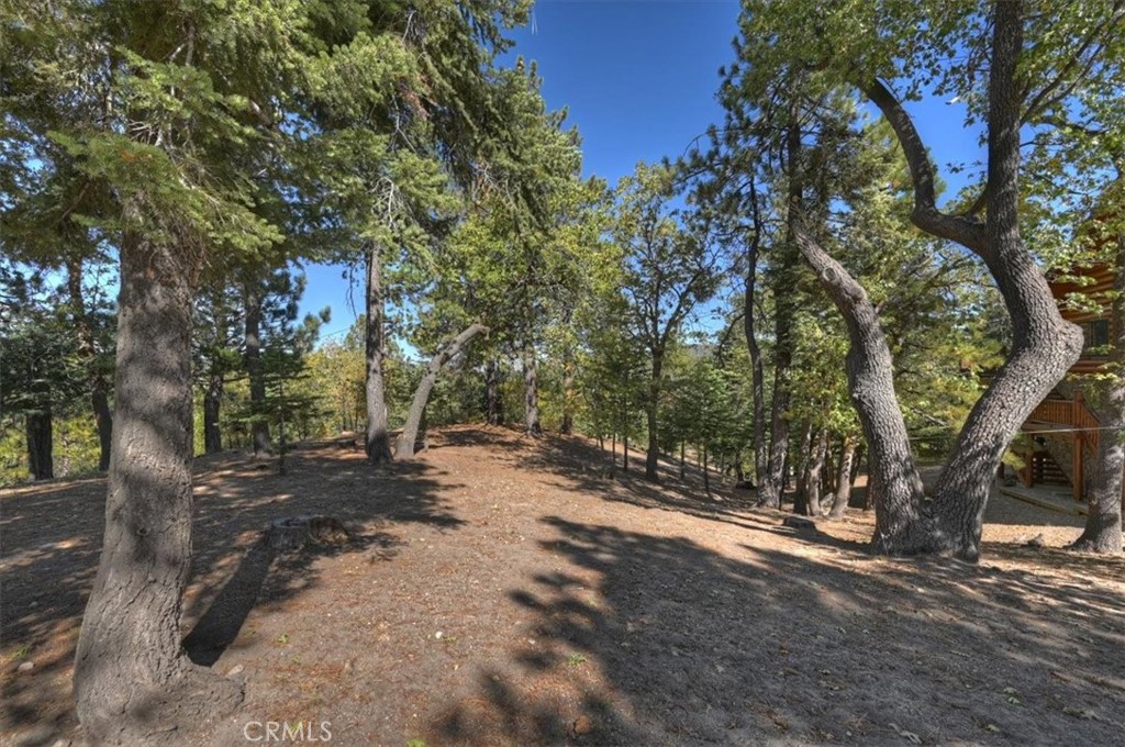 32412 Snow Cactus Court Property Photo 50