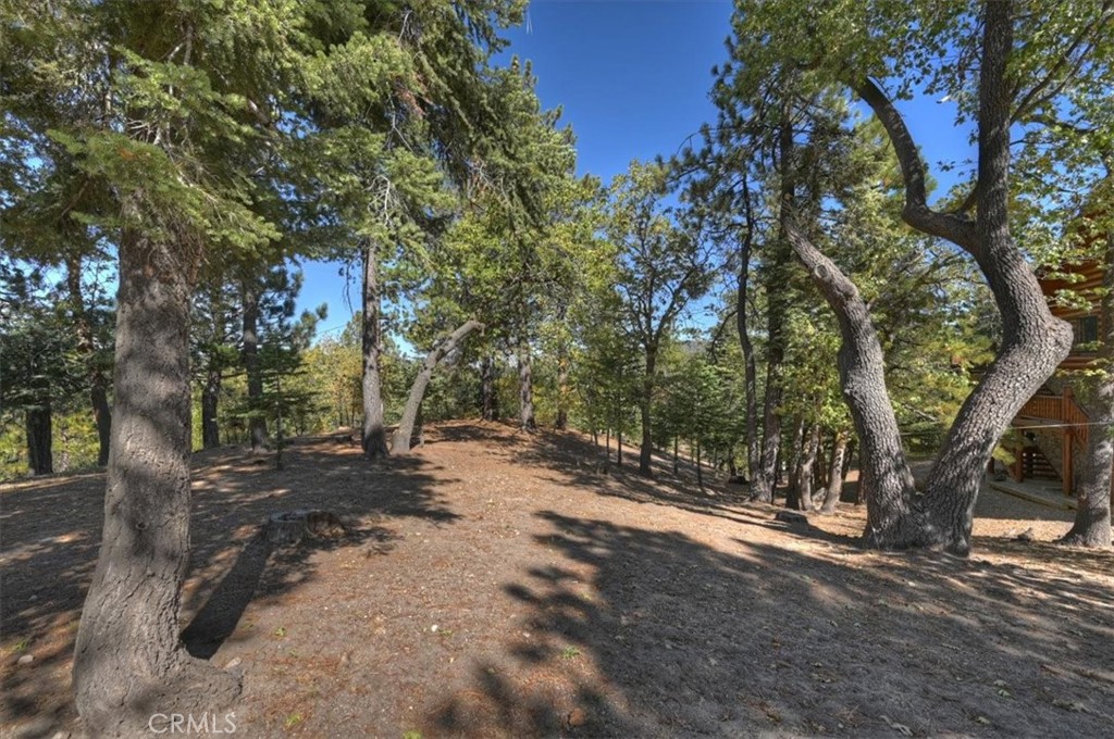 32412 Snow Cactus Court Property Photo 50