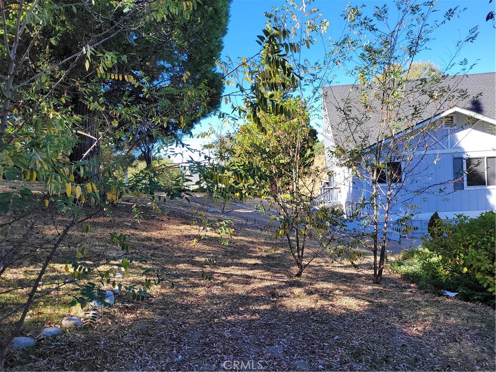 27068 Ironwood Property Photo 19