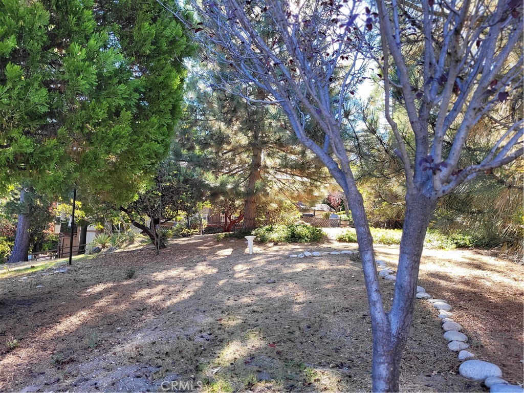 27068 Ironwood Property Photo 20