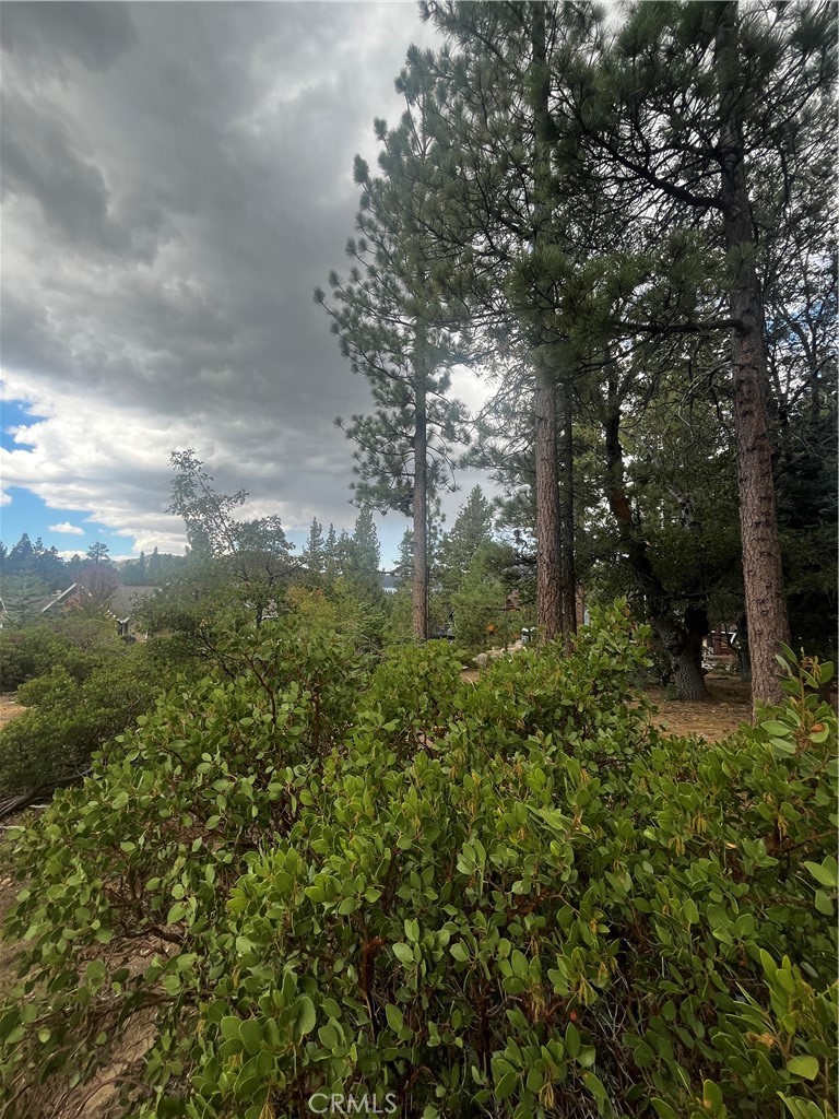 833 Great Spirits Property Photo 3