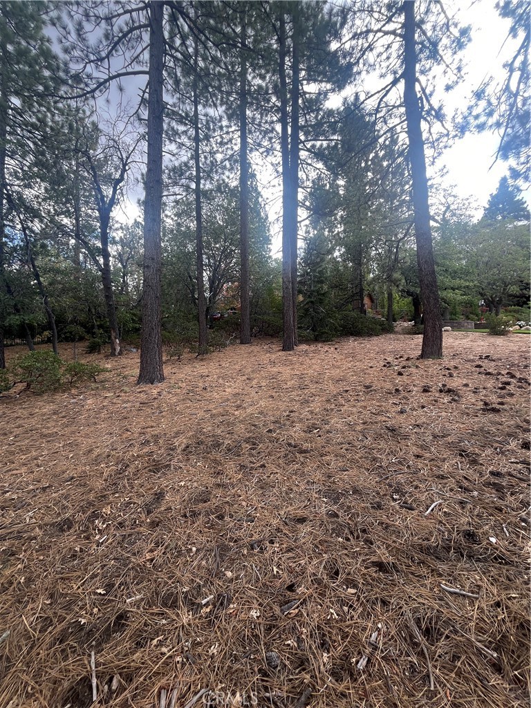 833 Great Spirits Property Photo 7