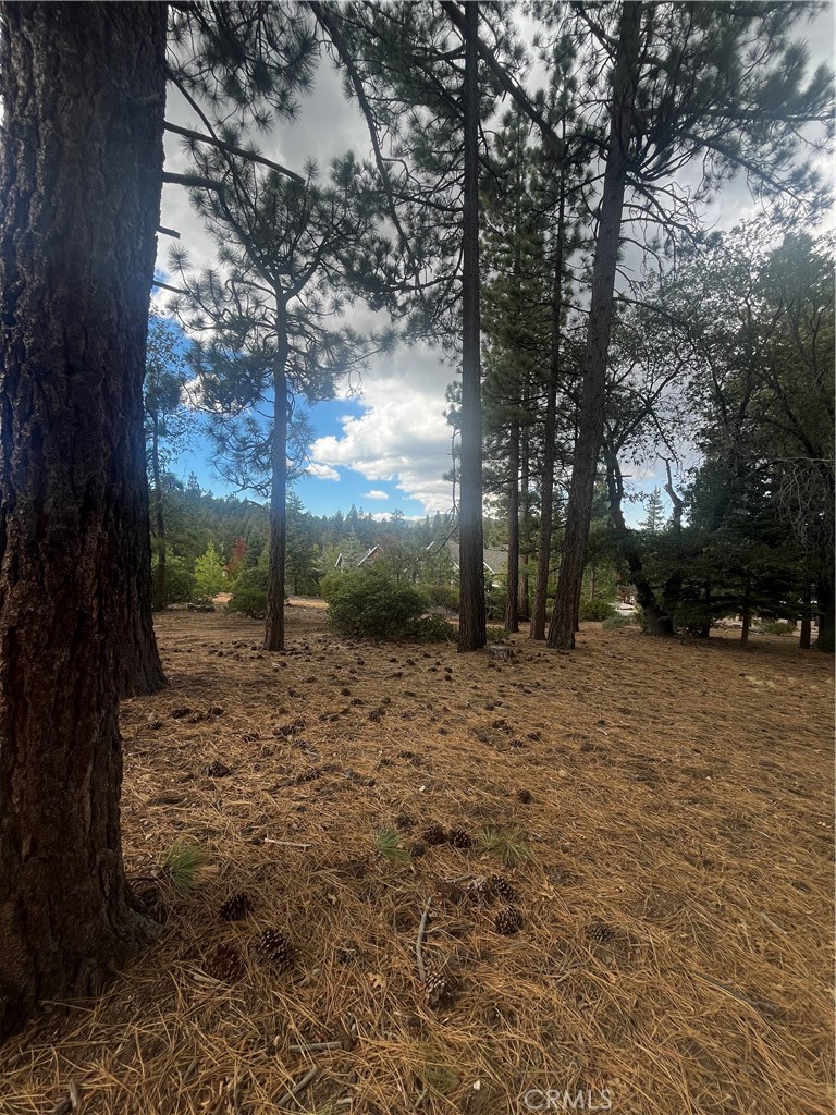 833 Great Spirits Property Photo 8