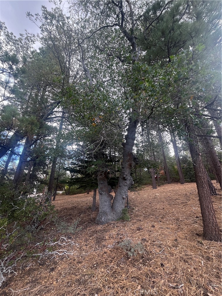 833 Great Spirits Property Photo 11