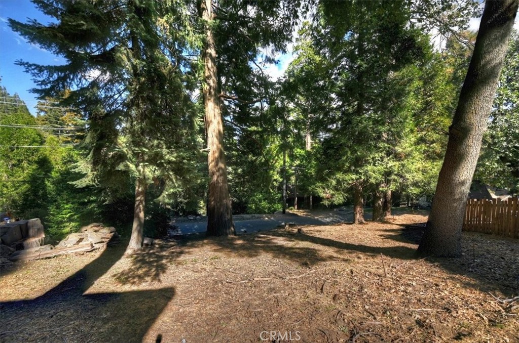 356 Mozumdar Property Photo 34