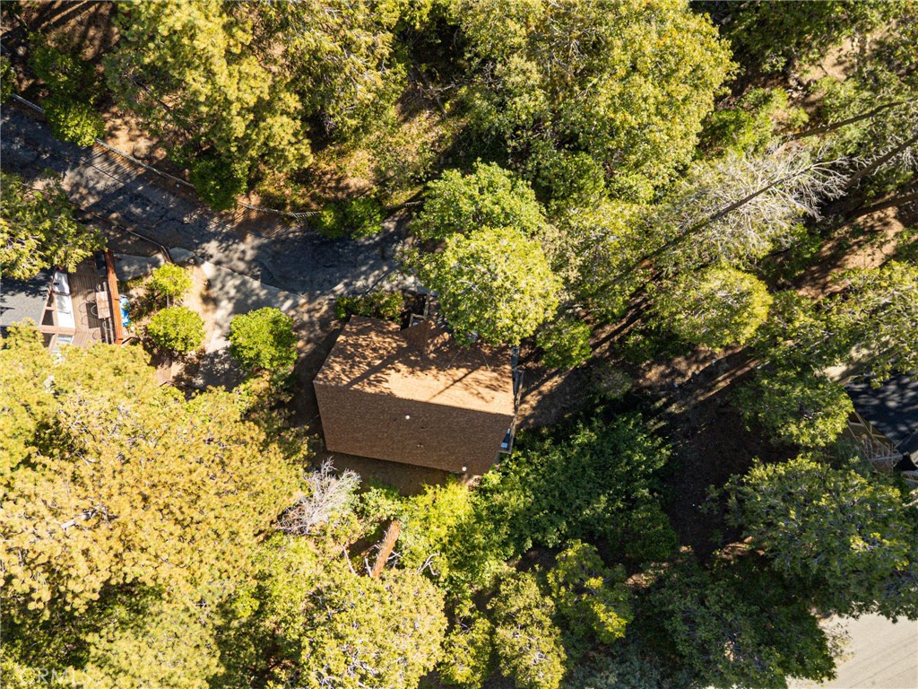 385 Birchwood Property Photo 26