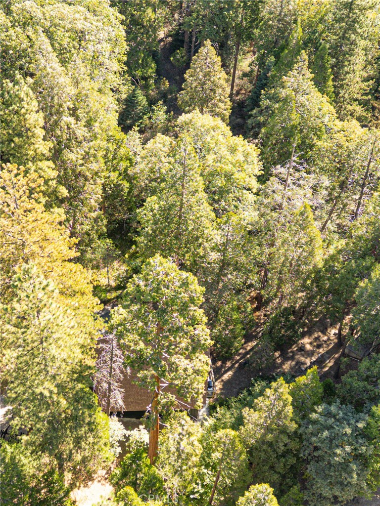 385 Birchwood Property Photo 27