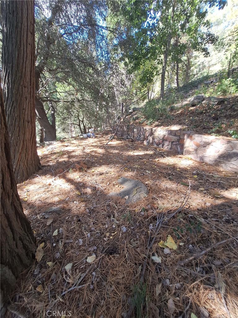 21515 Sawpit Canyon Property Photo 28