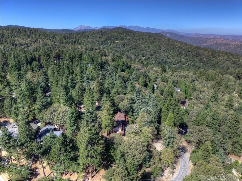 171 Bambi Trail Property Photo 3
