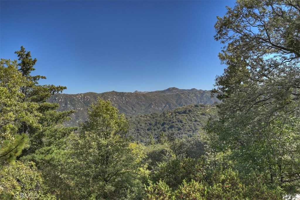 171 Bambi Trail Property Photo 37