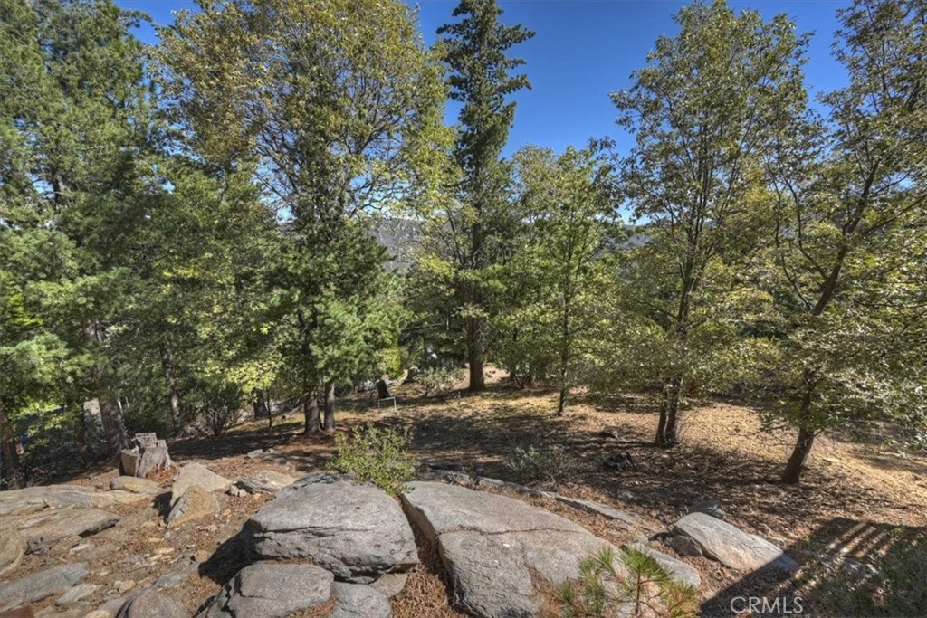 171 Bambi Trail Property Photo 38