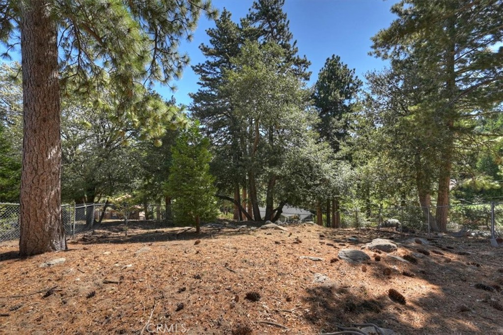 171 Bambi Trail Property Photo 48