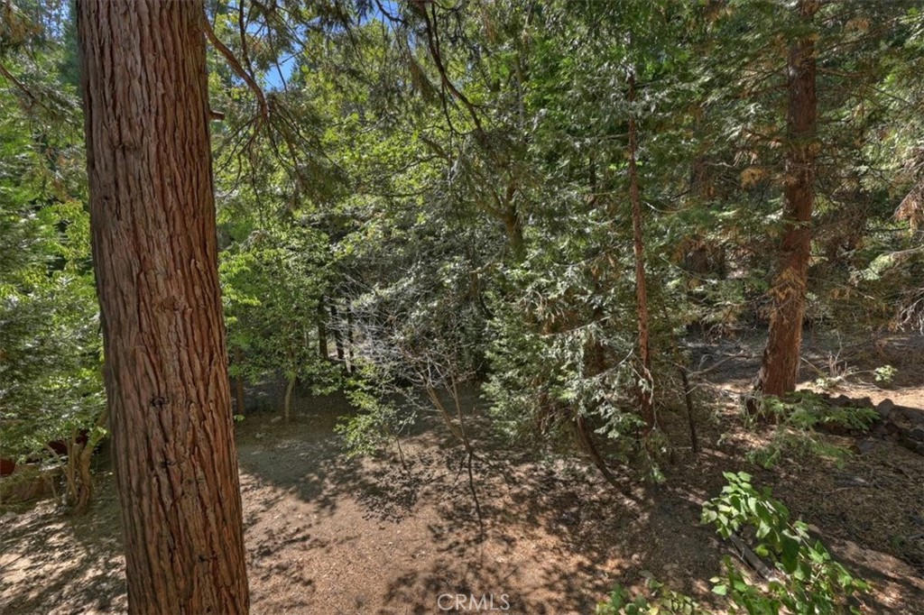 1150 Bear Springs Property Photo 32