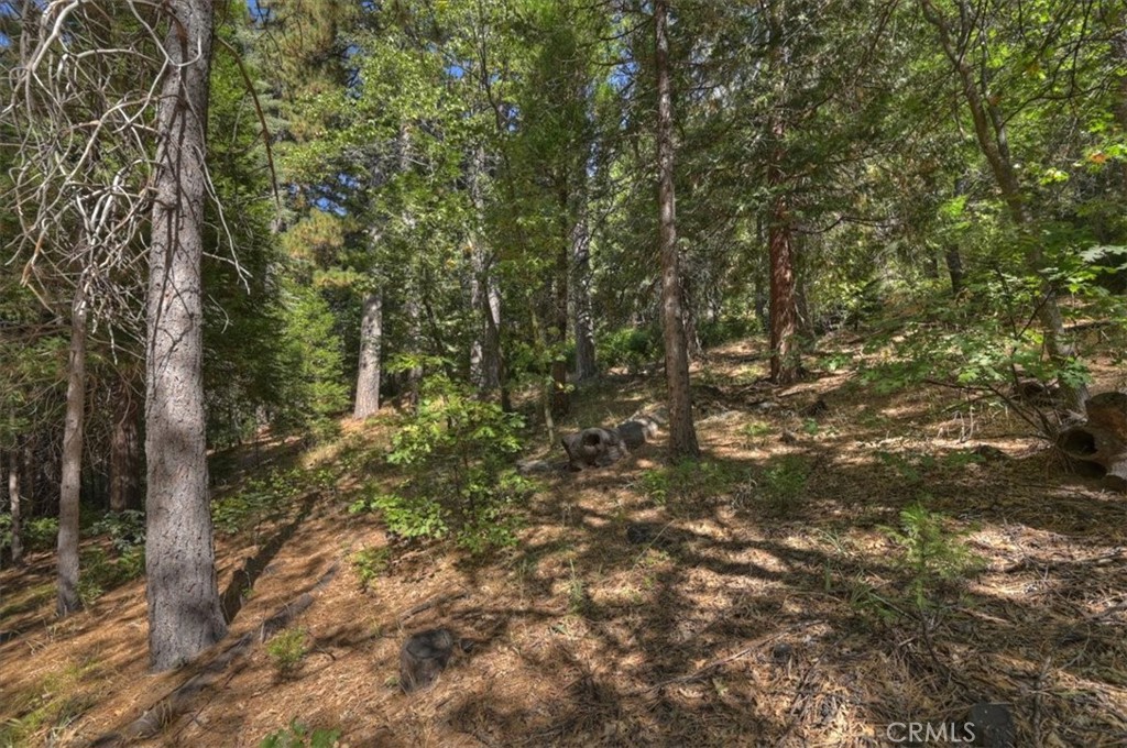 411 Grass Valley Property Photo 36