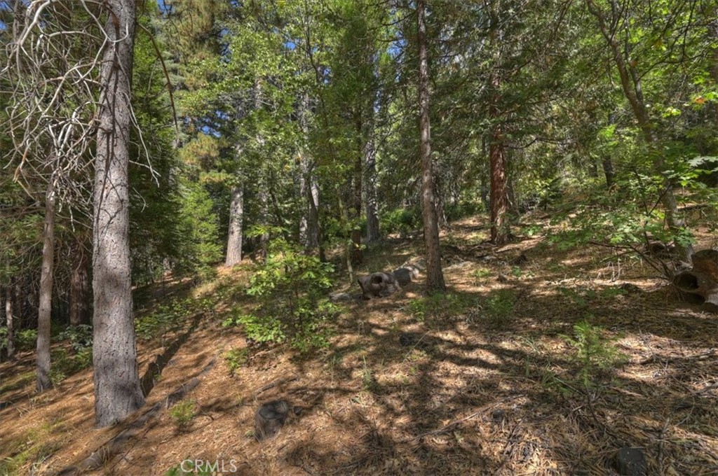 411 Grass Valley Property Photo 41