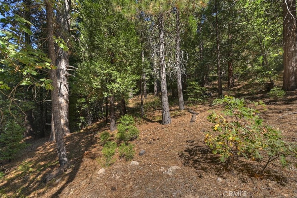 411 Grass Valley Property Photo 42