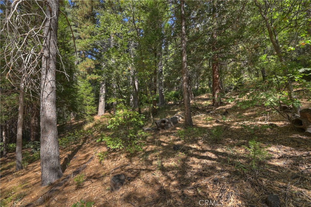 411 Grass Valley Property Photo 52