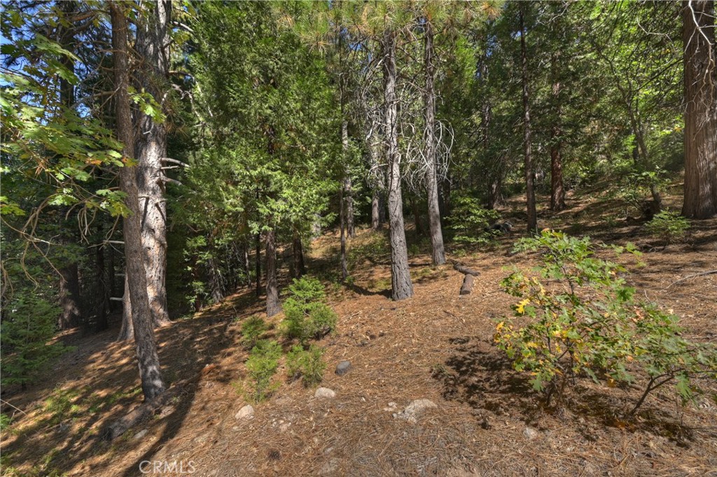 411 Grass Valley Property Photo 53