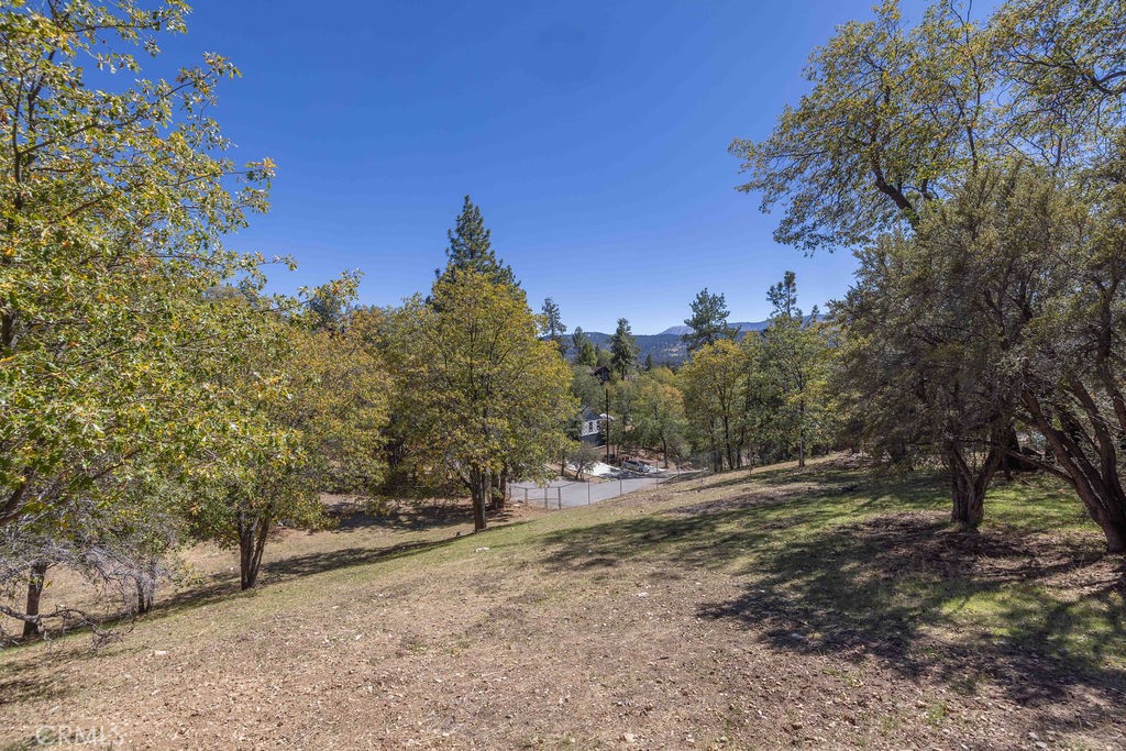 39457 Cline Miller Property Photo 32