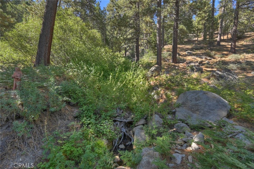 38596 N Shore Property Photo 9