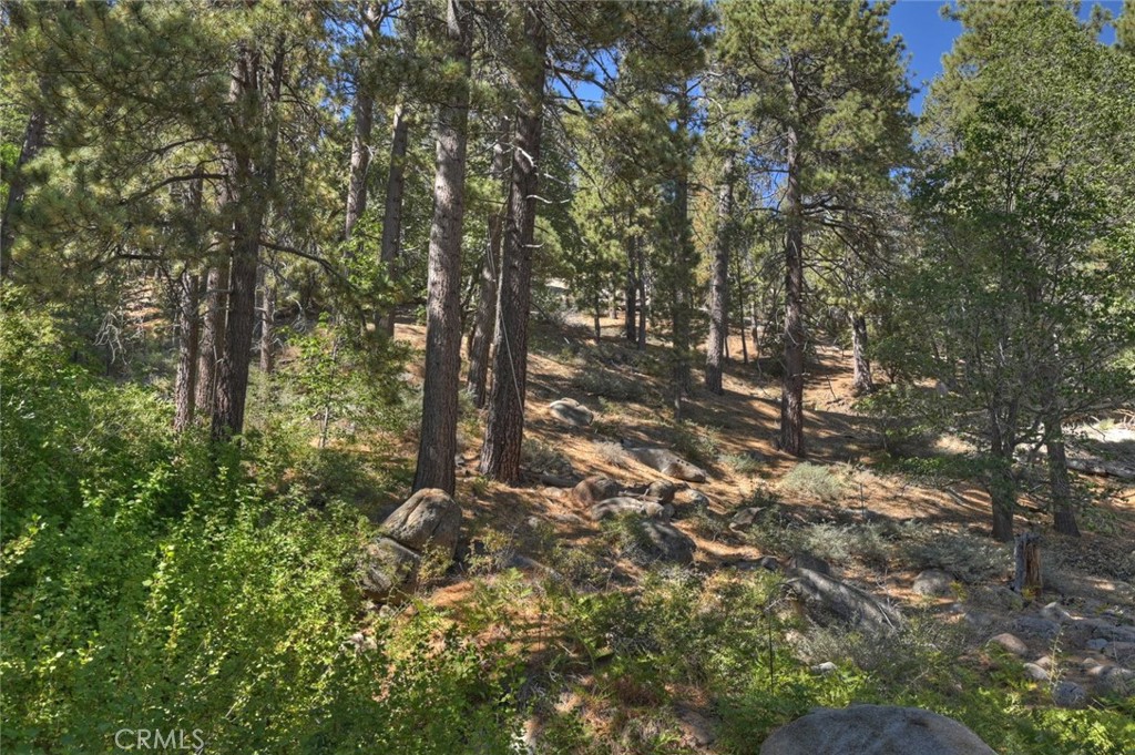 38596 N Shore Property Photo 12