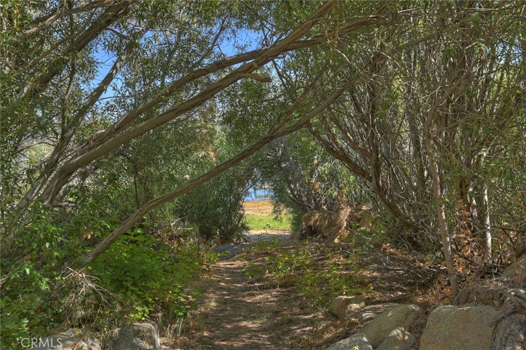 38596 N Shore Property Photo 30