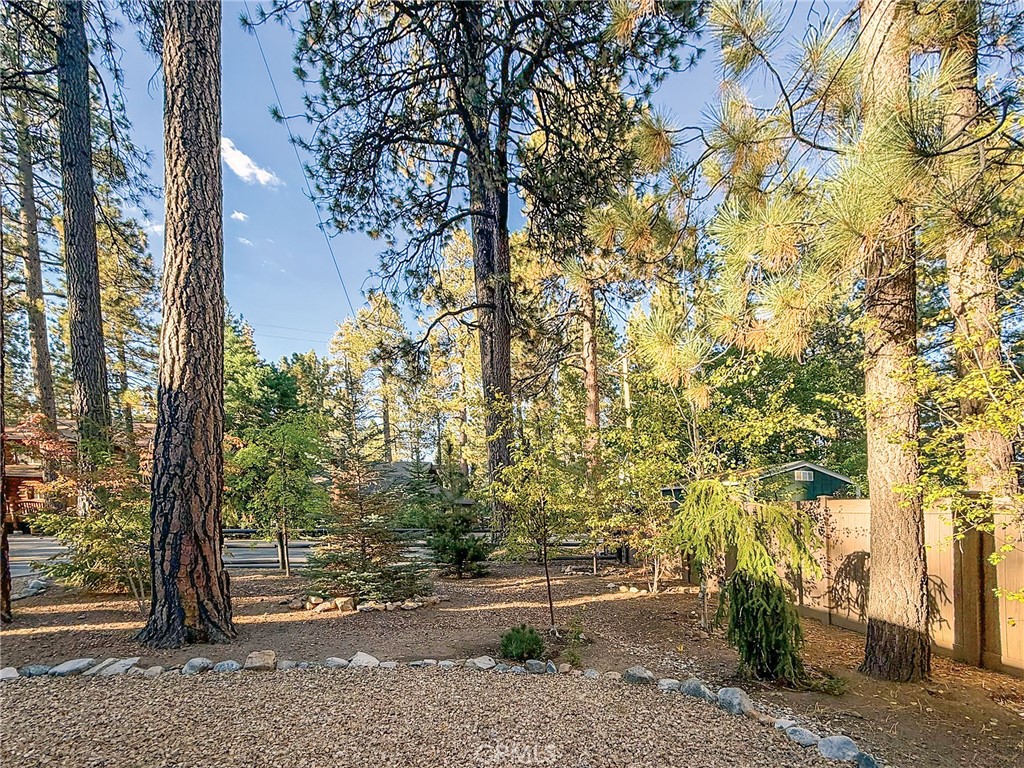 39207 Robin Road Property Photo 6