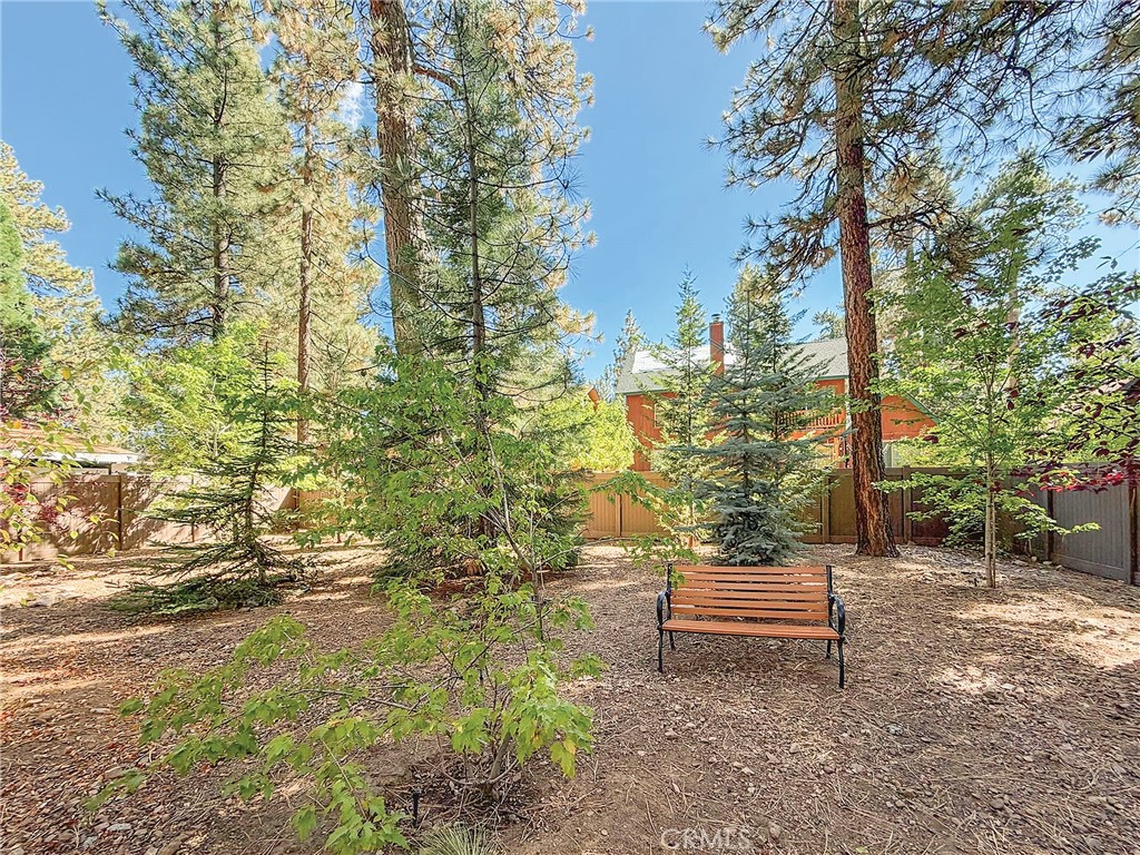 39207 Robin Road Property Photo 42