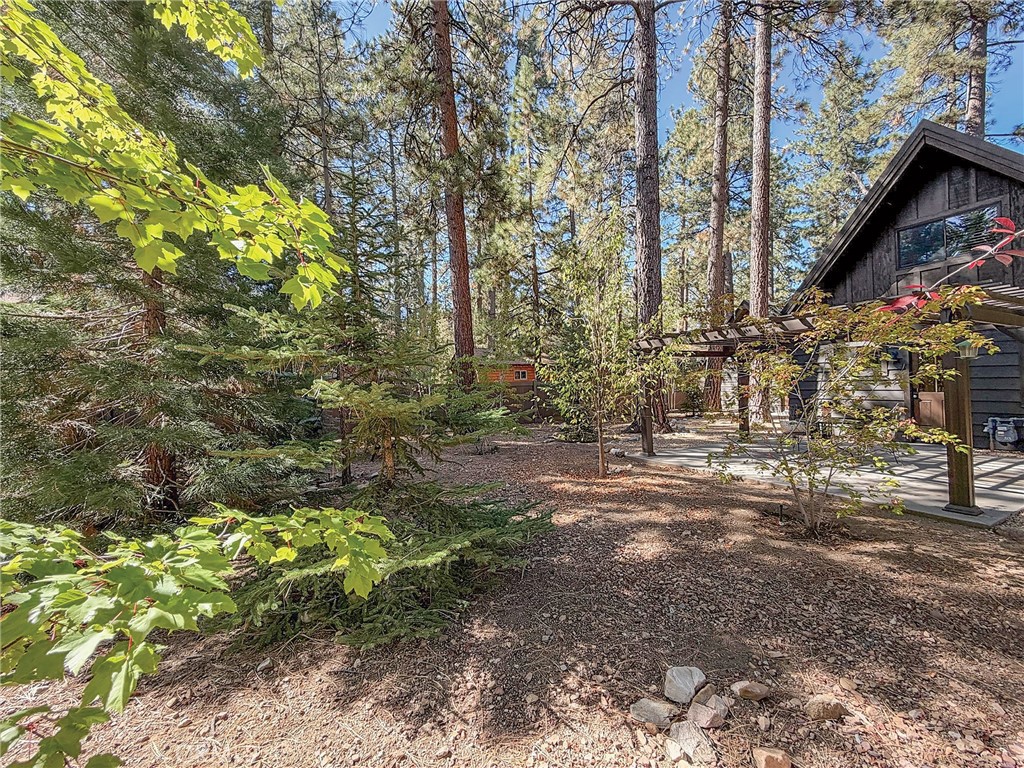 39207 Robin Road Property Photo 46
