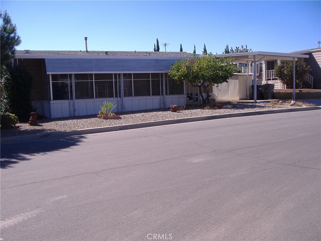 30678 Butia Palm Property Photo 3