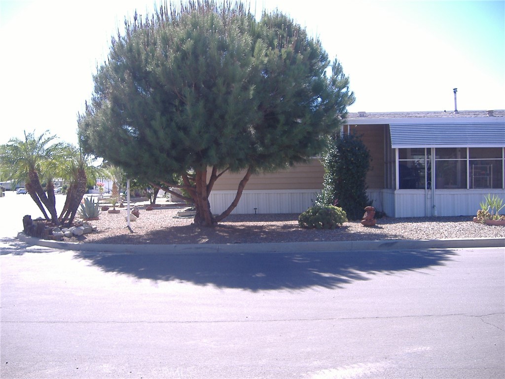 30678 Butia Palm Property Photo 4
