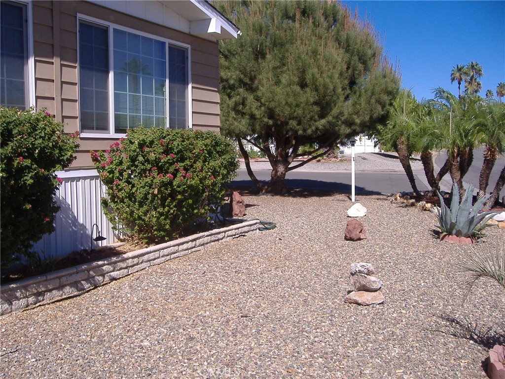 30678 Butia Palm Property Photo 5