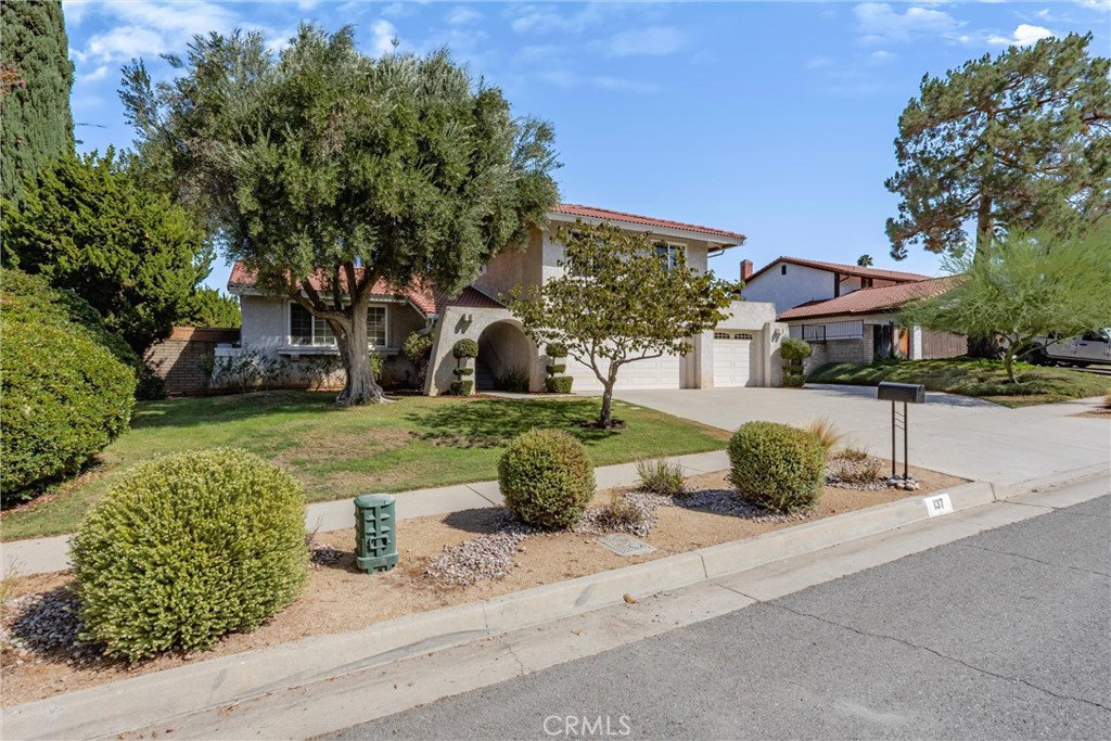137 Channing Street Property Photo 3