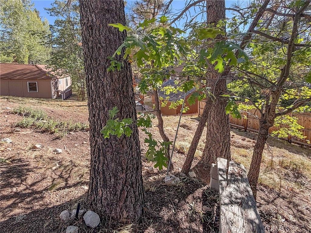 40189 Mahanoy Lane Property Photo 41