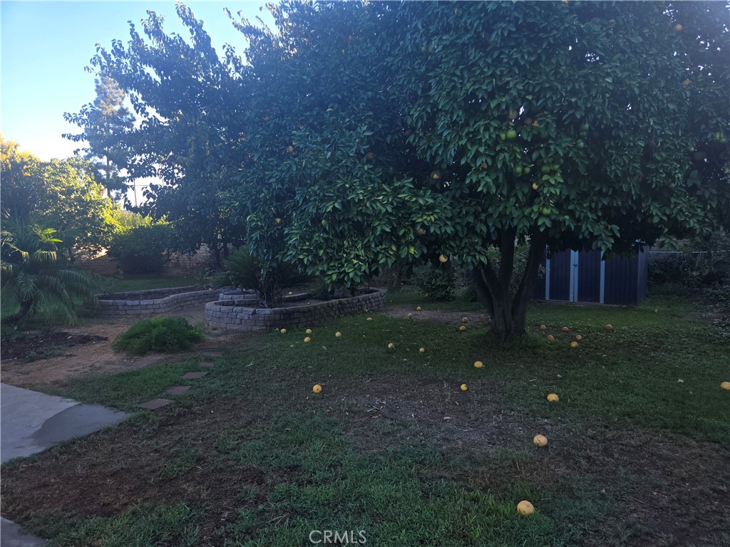 955 Le Conte Drive Property Photo 14