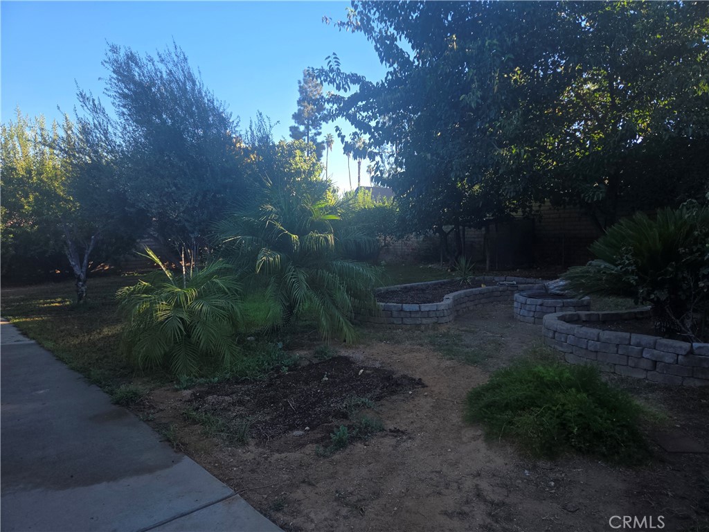 955 Le Conte Drive Property Photo 15